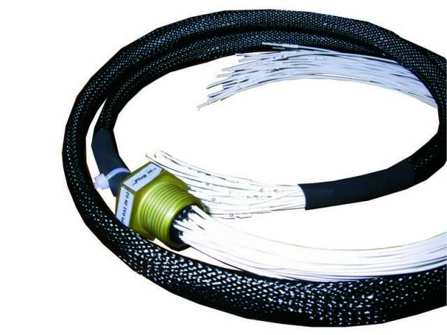SPECIAL Feedthrough M20 - 37 x AWG26 wires